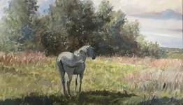 БЕЛОРУССКИЙ ПЕЙЗАЖ