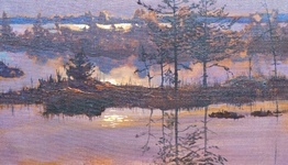 НАРОЧАНСКАЯ НОЧЬ