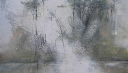 НАРОЧАНСКИЕ СОСНЫ