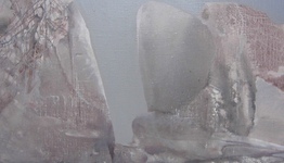 КАМНИ В ЗЕЛЕСЬЕ