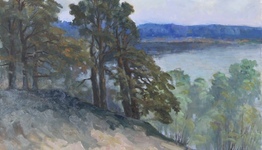 НА БЕРЕГУ ДНЕПРА